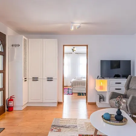 Ceahlau Cozy House With Terrace, Bbq & Free Parking Holiday home